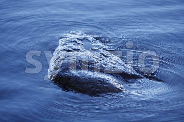 Stone in the Water Stock Photo